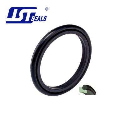 China Material Passed By NBR RGD Rod Wipers Seals With PTFE Test for sale