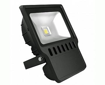 China 100W led flood light,50W led flood light F100WB for sale