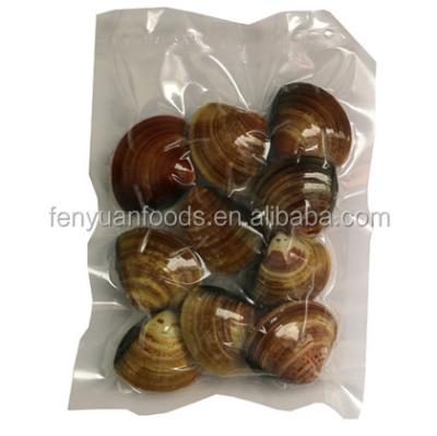 China Hot Sales Frozen Vacuum Packed Cooked Shortneck Clam JELLY for sale