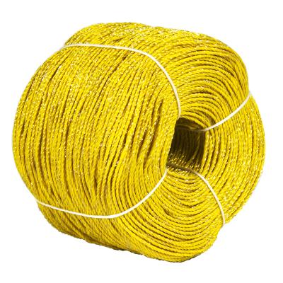 China Poly Electrical Fence Wire/Rope Easily Assembled, 2.5mm Diameter 400m/roll with 6 Wires of 0.2mm Stainless Steel Conductors for sale