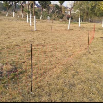 China Aging Resistance Electric Fence Netting 50m For Sheep And Chicken for sale