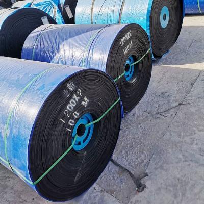 China High Strength PE Conveyor Belt For Conveying Materials Cereal Grains Corn Fish Meat Soybean Cake Grease Oil Oil Fats for sale