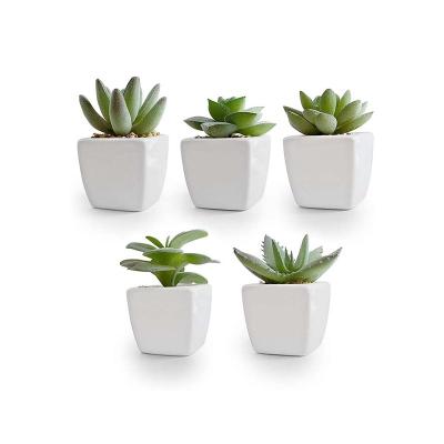 China Eco - Friendly Cheap Assorted Mini Artificial Succulents Plants In Ceramic Pot for sale