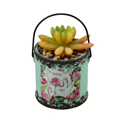 China Customized Hanging Potted Artificial Succulent Plants Eco - Friendly With Flower Pot for sale