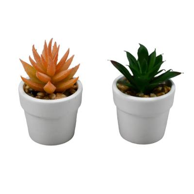 China Customized Home Decor Eco - Friendly Potted Artificial Succulent Plants With Ceramic Pot for sale