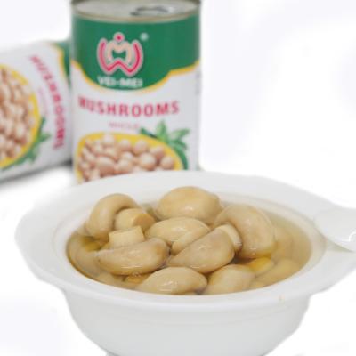 China Canned mushroom pns /high quality canned mushroom for sale