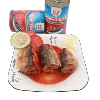 China Mackerel 425g Canned Oval Box Canned for sale