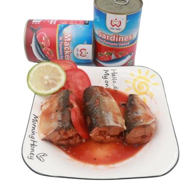 China Good canned price can fish canned mackerel in sauce 425g for sale