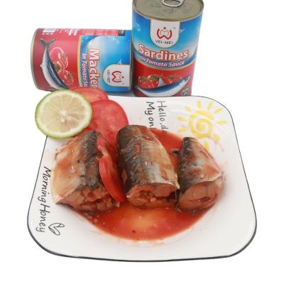 China Tin fish canned mackerel fish in tomato sauce for sale