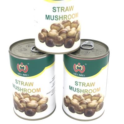 China Cnned Oyster Mushroom Canned Straw Straw Mushrooms for sale