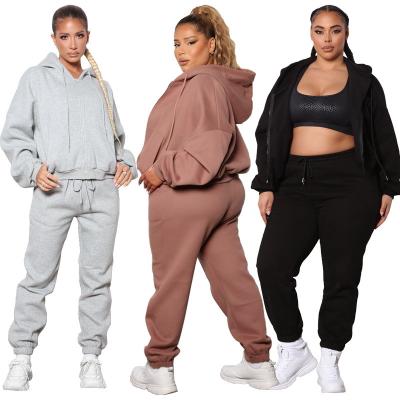 China Sustainable Women's Plus Size Tracksuit Hoodies Fashion Exercise Sports Casual Pants Sweatsuit Two Piece Set for sale