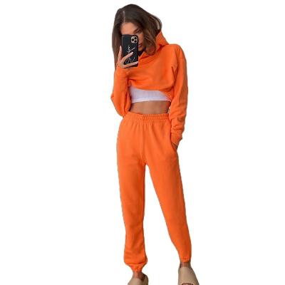 China Viable Women's Terry Cotton Autumn Sportswear And Winter Street Wear New Arrival Casual Sweatsuit Two Piece Set for sale