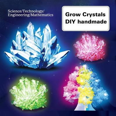 China Playing Science and Teacher DIY Crystal Breeding Science Experiment Kit Toy STEAM Experiment Educational Christmas Tree DIY Crystal Toy for sale