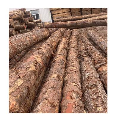 China Natural Texture Factory Price Selling Pinus Sylvestris And Pine Timber 2 X 4 X 10 Treated Lumber Plank Timber Lumber for sale