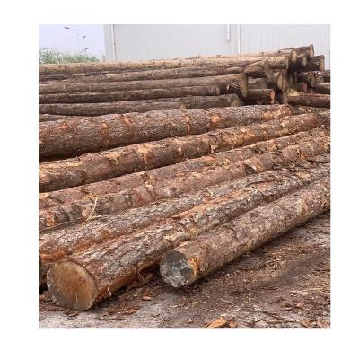 China Sylvestris natural cheap finger pinus pine common price texture board from china manufactures for sale