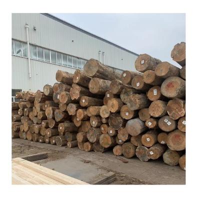 China Texture Factory Price New Zealand White Pine Natural Wood Surfaced Solid Wood Four Sides Pine Lumber Lumber for sale