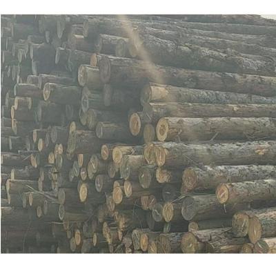 China Natural Texture Larch/Eucalyptus/Structural Plywood 3*6' 12mm 12mm Cryptomeria/Radiata Larch Timber Plank Lumber Structural Plywood Timber for sale