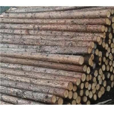 China Texture Hot Sale Natural Customizable Full Larch Wood Embossed Shuttering Sheet Plywood Panel Larch Timber for sale