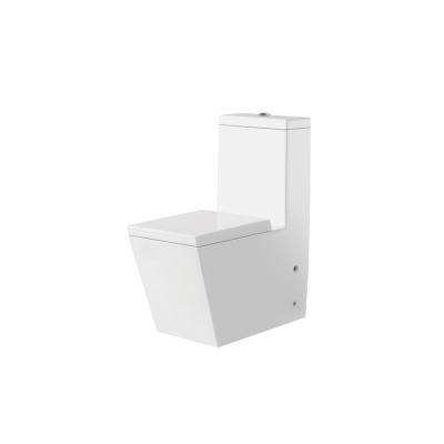 China P-trap & Strap Western Sitting Double-Flow Floor WC Luxurious Pedestal Toilet Pedestal Water Closet for sale