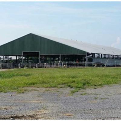 China Economical Farm Steel Structure Steel Structure Cow Farm Building for sale