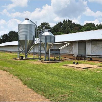 China Farm Easy Assembly Prefab Steel Structure Chicken Shed For Poultry Farm for sale