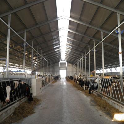 China Modern Cow Shed Farm Sheds Steel Structure Building Design Prefab Cow Farm Shed for sale