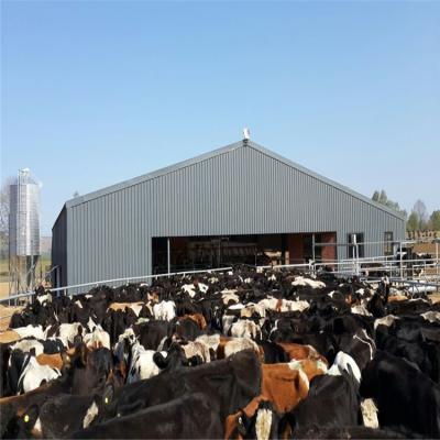 China Modern Lightweight Frame Design Cattle Shed Livestock Farm Prefab Steel Steel Building for sale