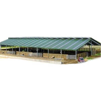 China Qingdao Straight Farm Steel Structure Cows Farm Building Prefab Steel Structure Cow Farm for sale