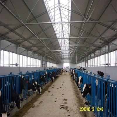 China Prefab Cattle Dairy House Steel Structure Shed For Cow Farm for sale