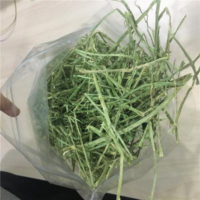 China American Livestock Good Quality Alfalfa Lucern Hay For Cow Cattle Horse Pets Dairy Farm Sheep 1kg Sample for sale