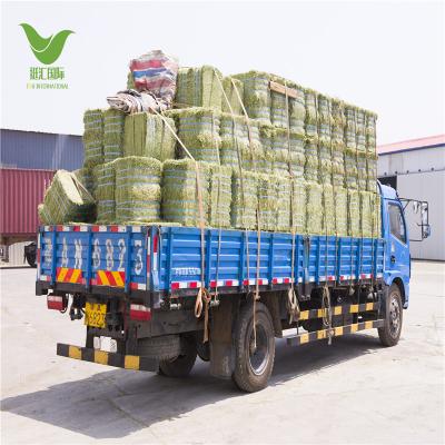 China Best Quality Livestock Big Or Small Alfalfa Hay Bales For Animal Feeding for sale