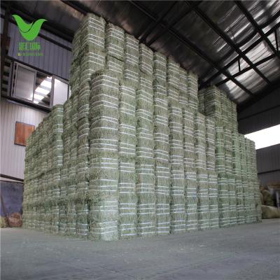 China Best Quality Cattle Feeding Horses Alfalfa Hay For Animal Fodder for sale