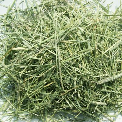 China American Hay Timothy Hay Cattle Horse Pets Sheep 500g Cattle Best Quality Alfalfa Sample for sale