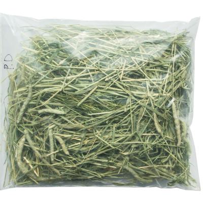 China Cattle Quality Alfalfa Hay Timothy Hay / Alfalfa Clover In Bales for sale