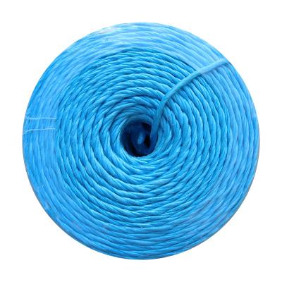 China For Agriculture Baling Hay PP China Polypropylene UV Treated Baler Twine For Forage Grass Bunching for sale