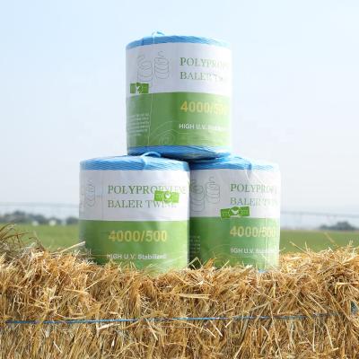 China For Agriculture Agriculture Hay PP Polypropylene Top Knot Baler Twine Baler Twine From China for sale