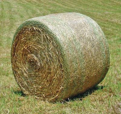 China Virgin PE +UV Stabilized Plastic HDPE Hay Grass Silage Bale Net Wrap for sale