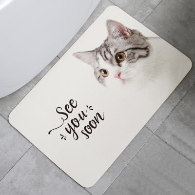 China Water Sustainable Absorbent Quick Dry Soft Non Slip Amazonian Bath Mat Bathroom Blanket Rubber Bath Mat for sale