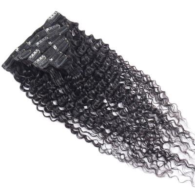 China Wholesale Curly Hair Extension Popular Design China Loop Hair Clip In Extensions for sale