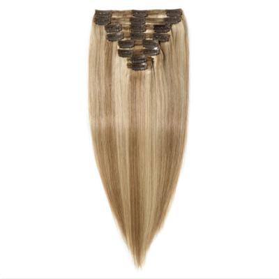 China China Wholesale Straight Design Seamless Clip In Hair Extensions Shape Seamless Clip In Hair Extension for sale