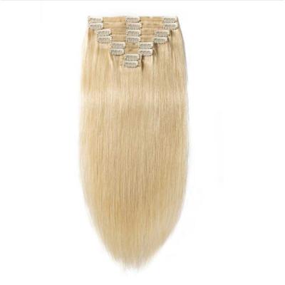 China Low Price Straight High Quality Clip In Extensions Hair 100% Hair Clip In Hair Extensions for sale