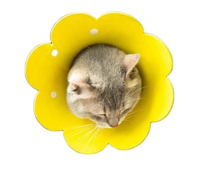 China Sunflower Shape Pet Grooming Supplies Elizabeth Circle Sustainable Pet Protect Collar for sale