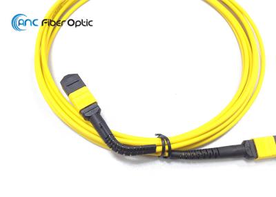 China FlexiBend MPO Fiber Optic Cable Assemblies for sale