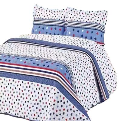 China Cozy Hot Selling 100% Cotton Cozy Printing Washable Quilted Comforter Set Three Piece Sets for sale