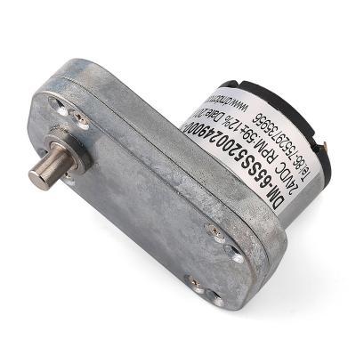 China Metal Gear DM-65SS520 12v DC Gear Motor With Double Shaft for sale