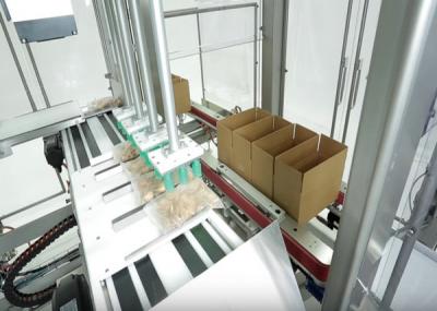 China Automatic Case Packer With Carton Erector And Closer For Apparel / Clothes / Garment for sale