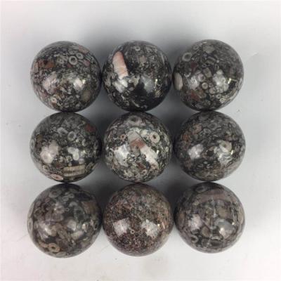 China Wholesale Natural Fossil Stone Crystal Stone Ball For Sale from China for sale