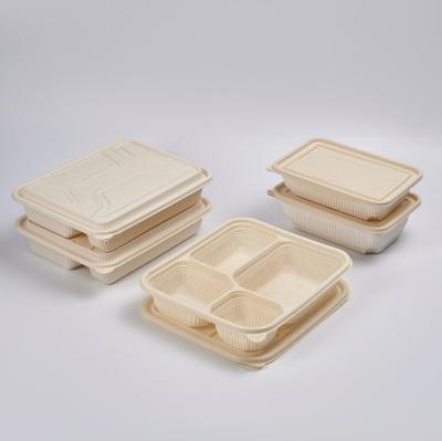 China Disposable Eco-Friendly Biodegradable Cornstarch Disposable Food Container 850ml 4-Compartment Bento Food Box Disposable For Caterer for sale