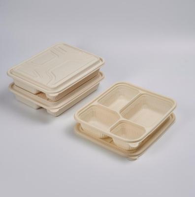 China 100% Biodegradable Eco-friendly Disposable PLA Cornstarch To Put 3 Compartment Food Containers Compostable Take Out Food Container for sale