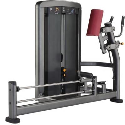 China Strength Training Customized Strength Equipment Glute Machine For Sale for sale